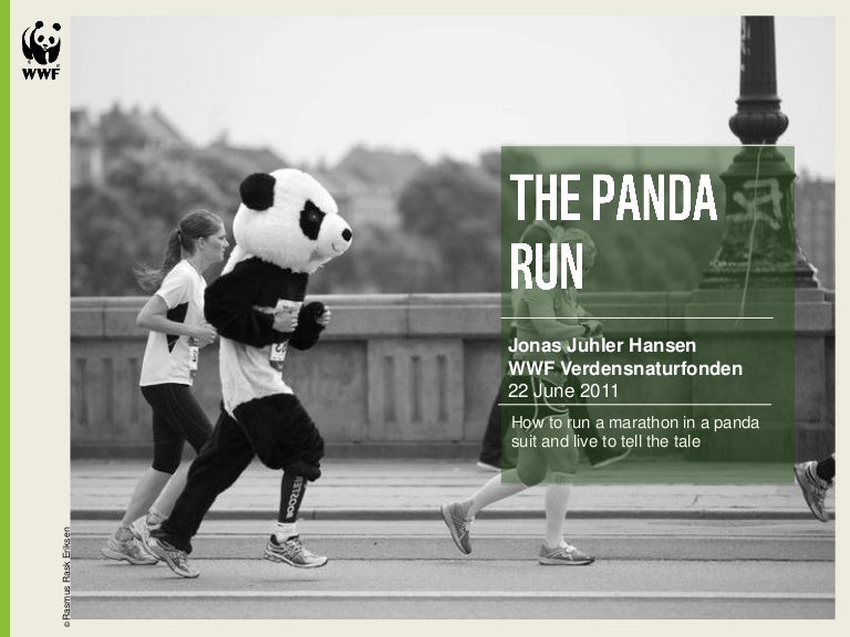 The Panda Run