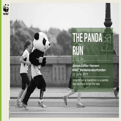 The Panda Run | PDF