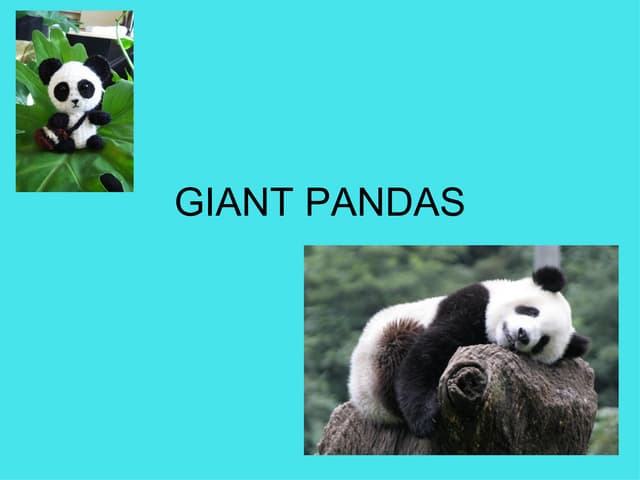 Pandas