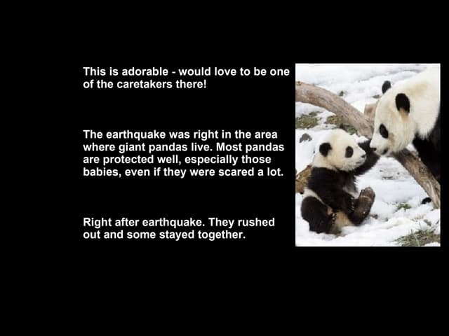 Pandas Ppt Pandas Ppt
