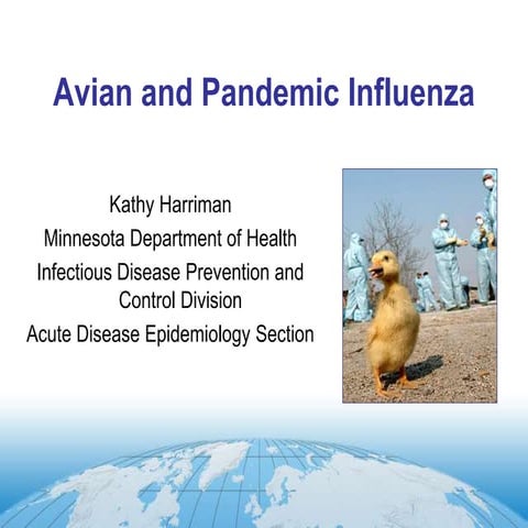 Influenza flu pandemic models | PDF