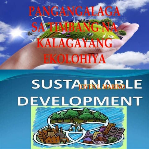 Pangangalaga sa timbang na kalagayang ekolohiya