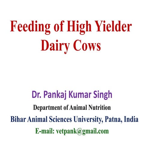 Feeding of high yielder dairy cows
