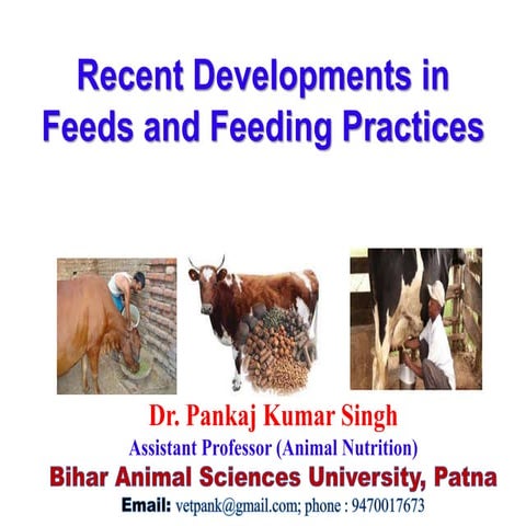 Recent Developments in Feeds and Feeding Practices
