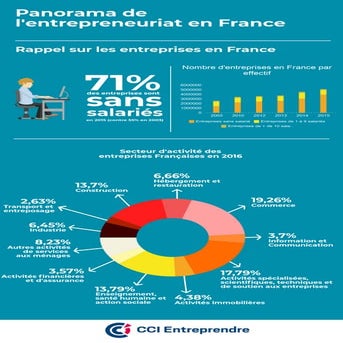 La taille des entreprises en France - Panorama des entreprises