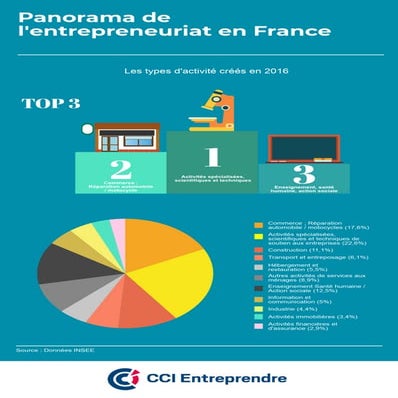 Les types d'activités créés en 2016 - Panorama des entreprises 