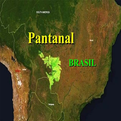 Pantanal