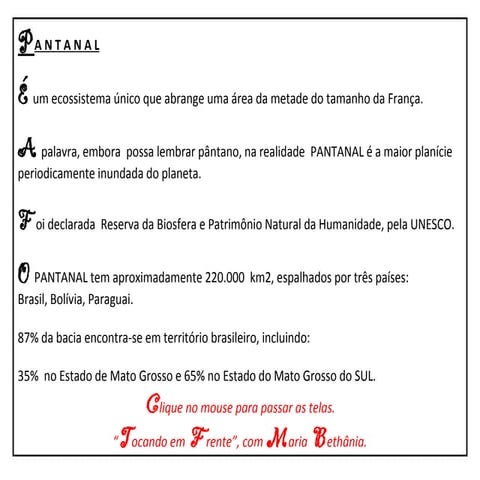 Pantanal (Mato Grosso Brasil)(com som) (1)