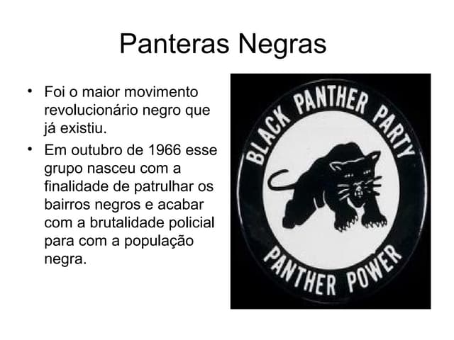 Panteras Negras
