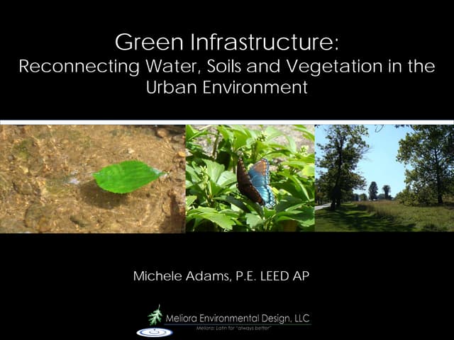 Michele Adams - Panther Hollow Presentation