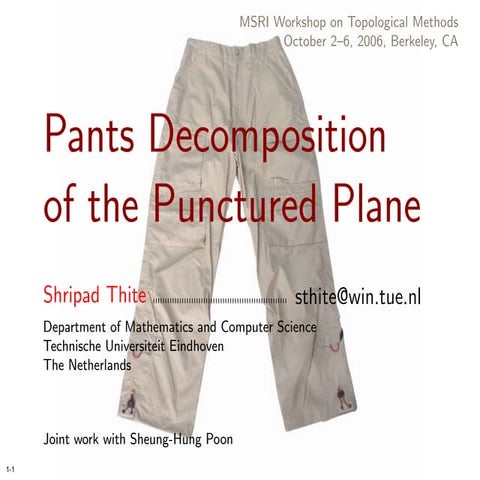 Pants Decomposition of the Punctured Plane