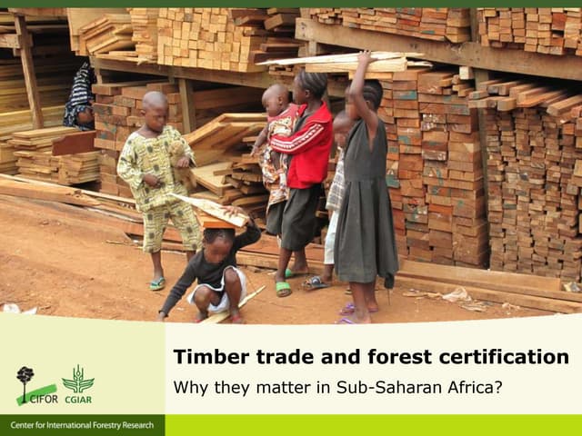 thumbnail of  Timber trade and forest certification.Why do they matter in Sub-Saharan Africa?