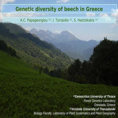 Genetic diversity of beech in Greece