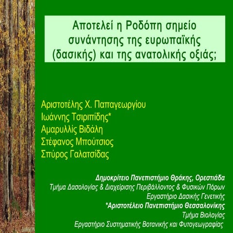 Αποτελεί η Ροδόπη σημείο συνάντησης της ευρωπαϊκής (δασικής) και της ανατολικ...