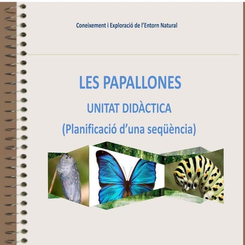 Unitat Didáctica Papallones