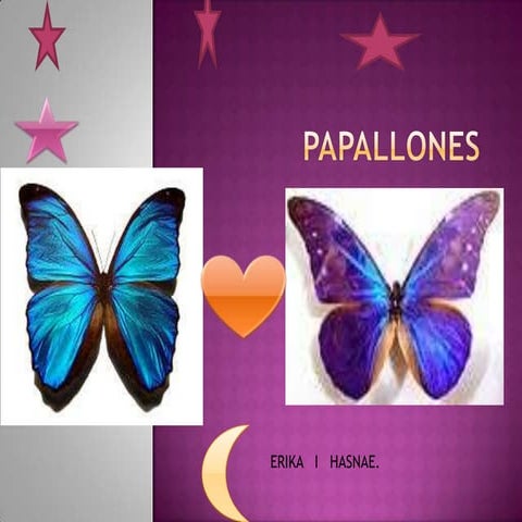 LES   PAPALLONES