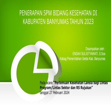PAPARAN STANDAR PELAYANAN MINIMAL URUSAN BIDANG KESEHATAN