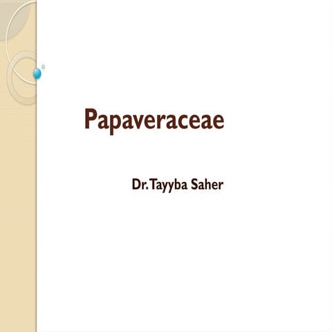 Papaveraceae.pptx637188e88w8q9938929299988