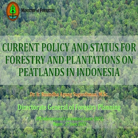 Current policy and status for forestry and plantations on Peatlands in Indonesia