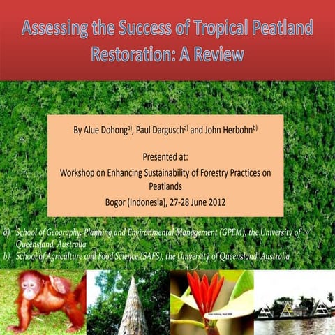 Assessing the Success of Tropical Peatlands Restoration: A Review