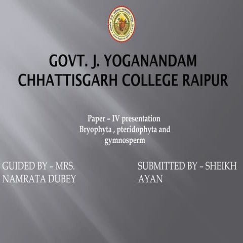 Structure and theories regarding origin of paleozoic ovule