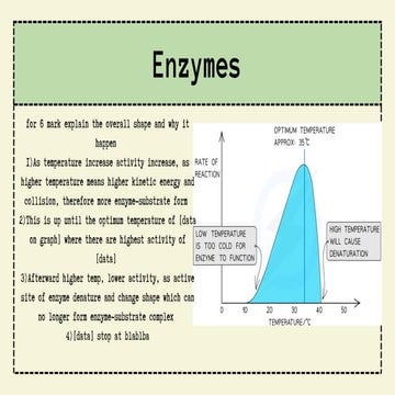 Paper 6 Revision for igcse biology 0610 2023-2025 syllabus