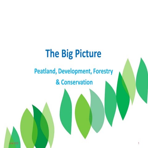 Responsibly Managed Plantations On Peatland – A Positive Story
