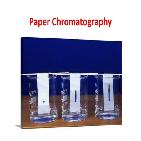 Paper chromatography