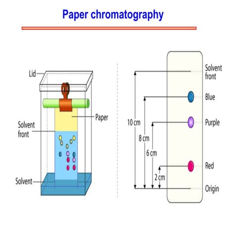 Paper Chromatography-F.pptx.pdf msc chemistry 3rd semester | PDF