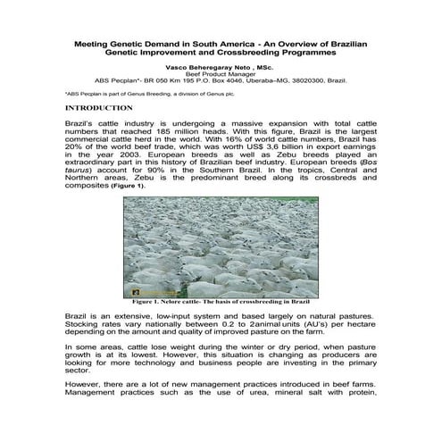 Paper for  british cattle breeders club brazil