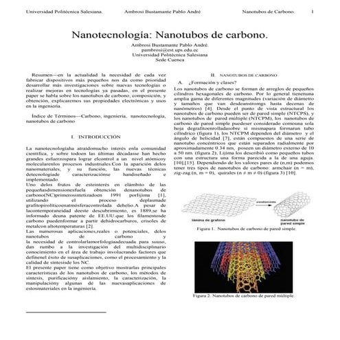 Paper nanotubos | DOCX