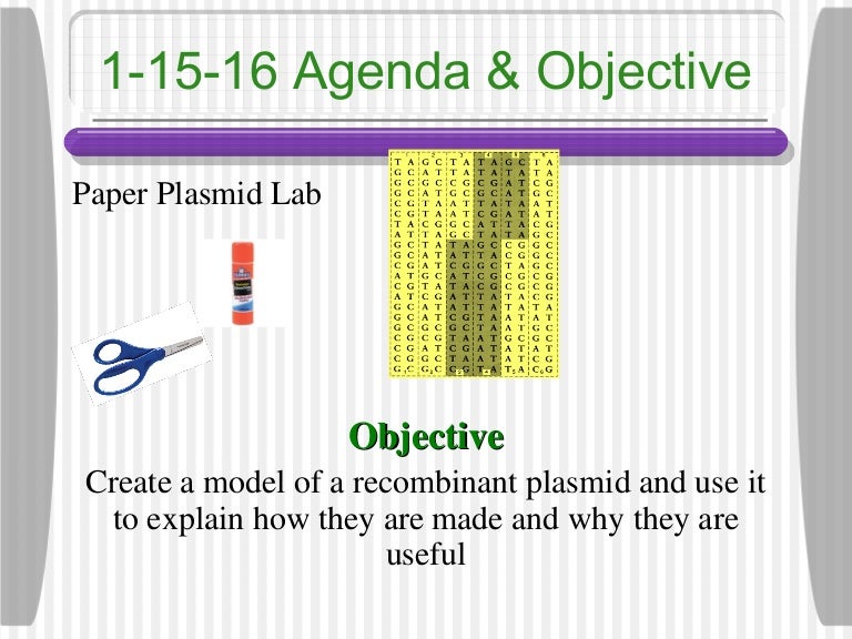 Plasmid pdf picture