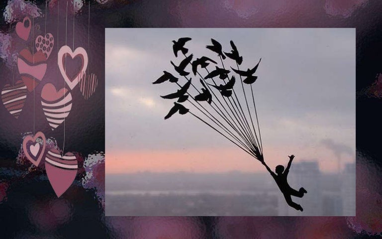 The silhouettes essay 03 image