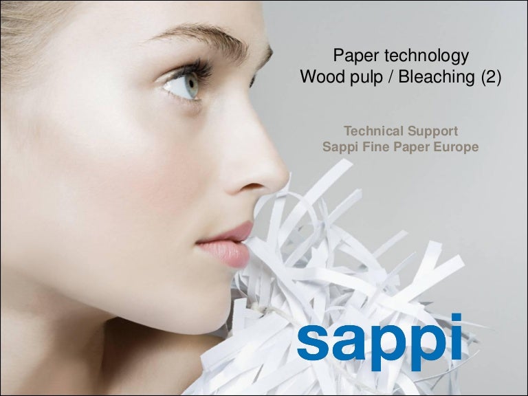 Paper technology wood pulp bleaching 2