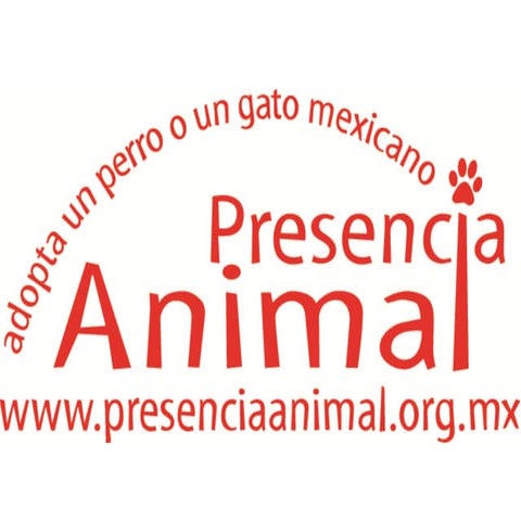 Presencia Animal Plan 100 English