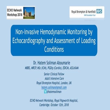 Non-invasive haemodynamic monitoring by Echocardiography