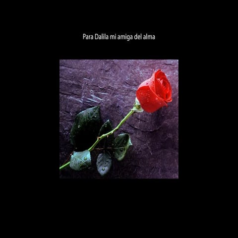 Para Dalila Mi Amiga Del Alma