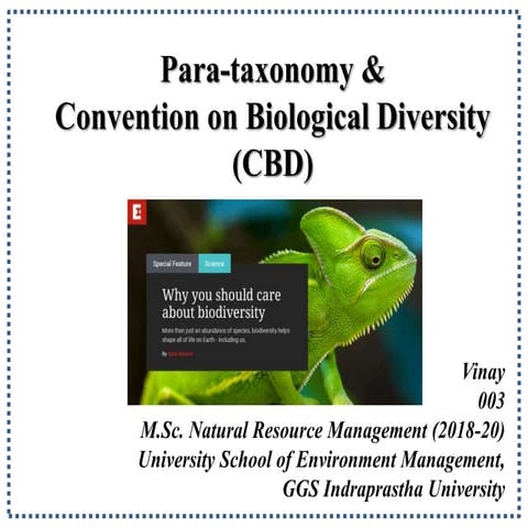 Para-taxonomy &.pptx