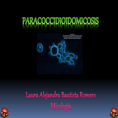 Paracoccidioidomicosis