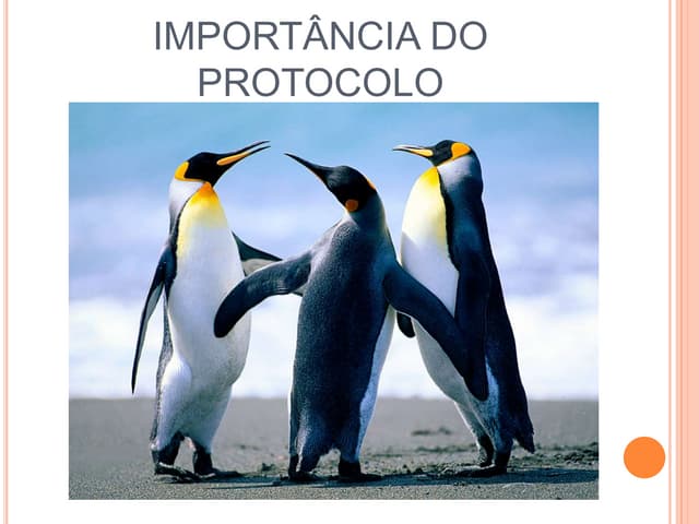 Parada  Cardiorrespiratória - Supor...