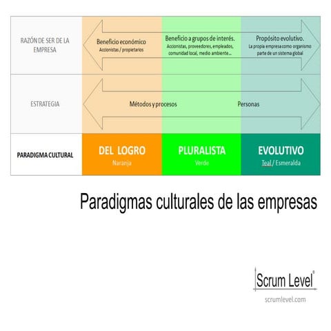 imagenes de la organizacion de MORGAN.pdf