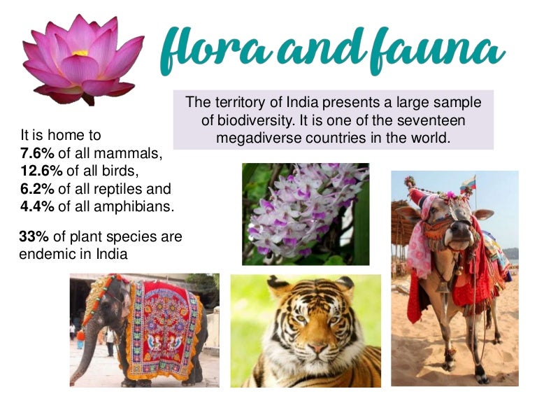 Flora And Fauna Of India