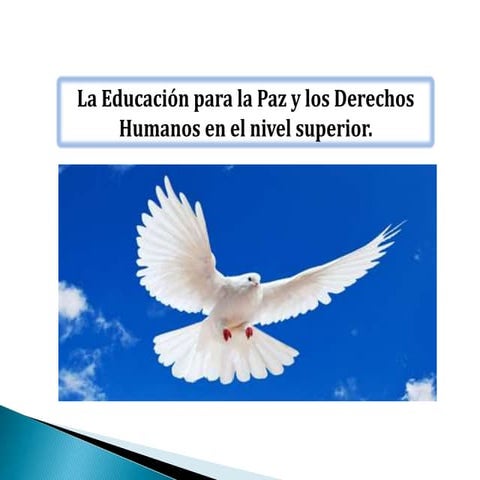 La Educación para la Paz y los Derechos Humanos en el nivel superior ...