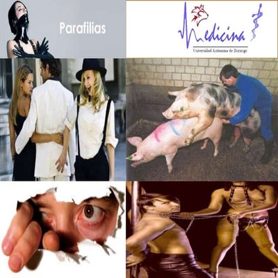 Parafilias 50 sombras