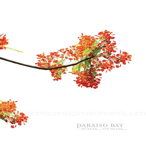 Paraiso Bay brochure
