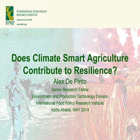 Does Climate Smart Agriculture Lead to Resilience?
