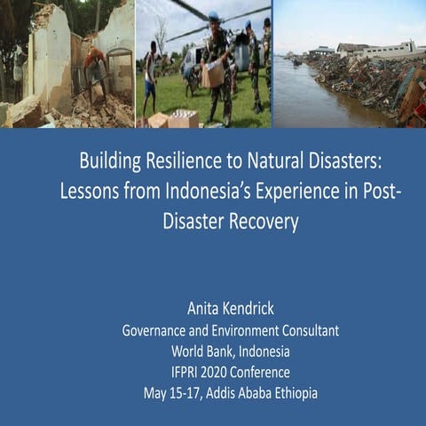 Building Resilience to Natural Disasters: Lessons from Indonesia