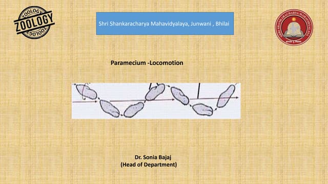 Paramecium Locomotion Ppt Paramecium Locomotion Ppt