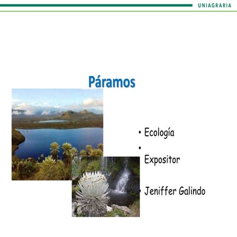 Paramos
