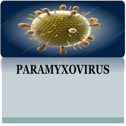 paramyxovirus.ppt